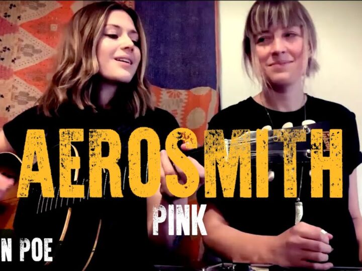 Aerosmith Pink (Larkin Poe Cover)