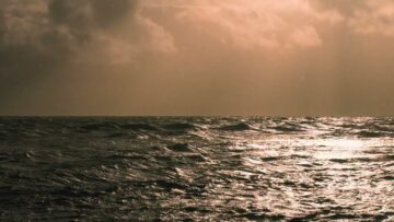 Eleni Drake – Im Your Man