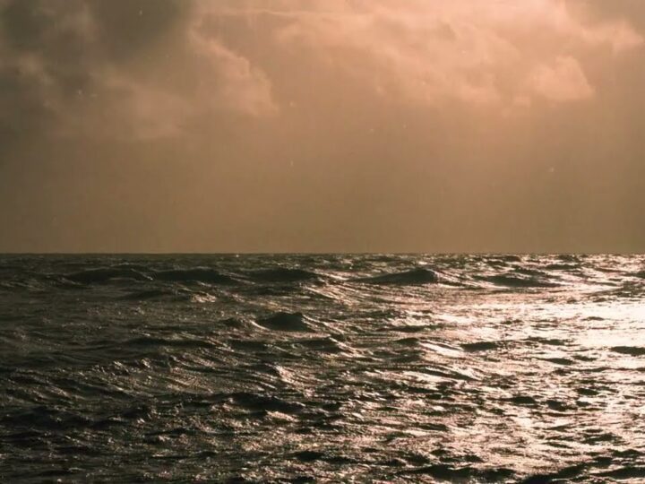 Eleni Drake – Im Your Man