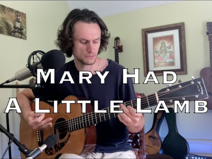 SRV – Mary Had a Little Lamb (acoustic cover)