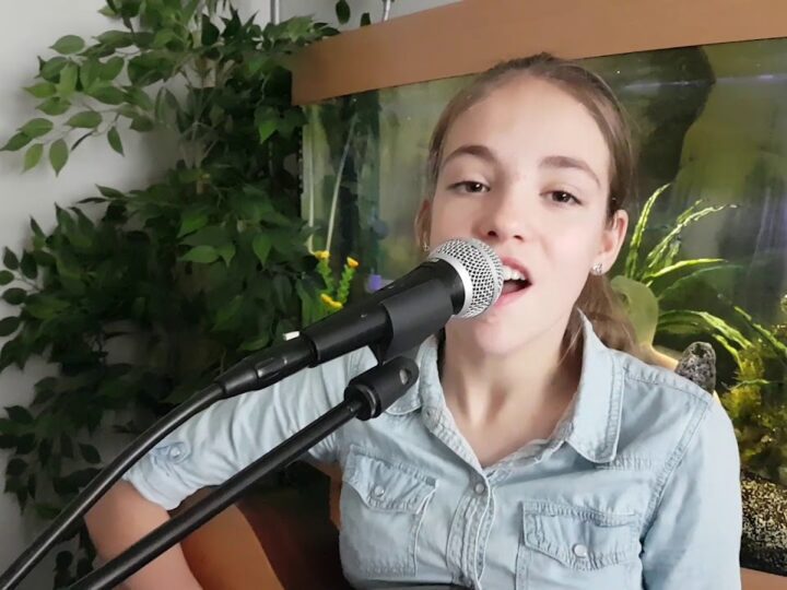 Sam Smith too good at goodbyes cover by Allie Sherlock