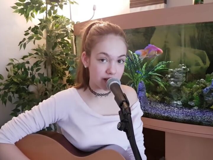 Shawn Mendes Bad Reputation Allie Sherlock cover