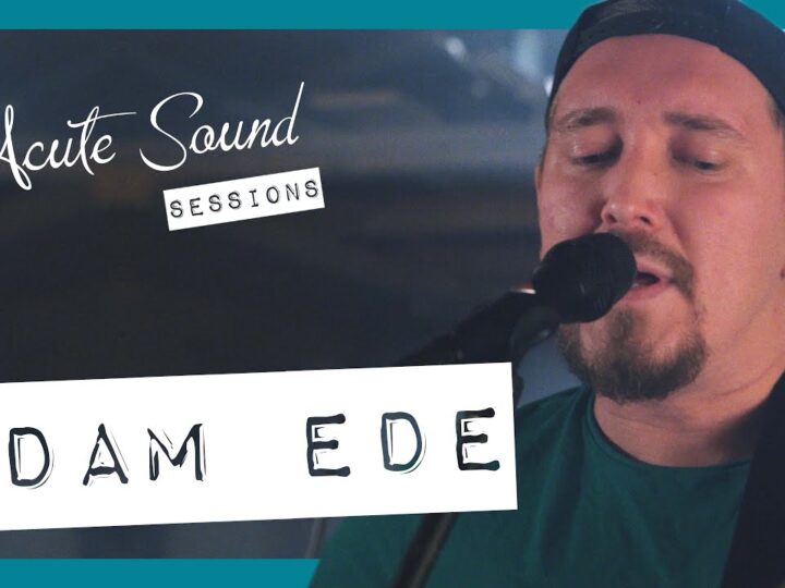 All these things I’ve done – The Killers – Adam Ede cover
